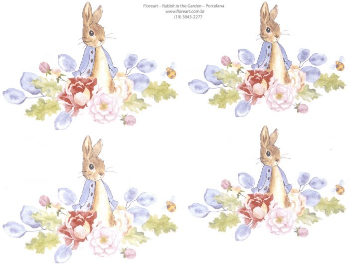 Rabbit in the Garden.jpg