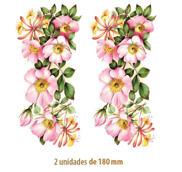 D_Wild-Rose-180mmx2un.jpg