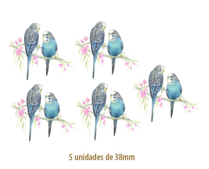 D_australian_bird_38mmx5un.jpg