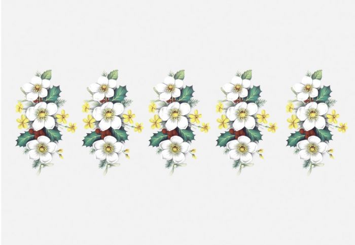 holly-flower-60x40mm.jpg