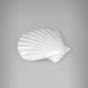 Aplique Concha Scallop 2