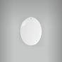 Medalha Oval 20 com Furo 5,5 X 4 1