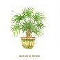 Palmera-a-130mmx1un.jpg