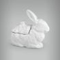 Coelho-Porcelana-09b.jpg