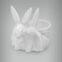 Coelho-Porcelana-05a.jpg