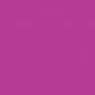 BENGAL PINK-2.jpg