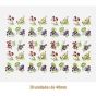 D_Mix_Of_Fruits_40mmx30un_A.jpg