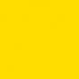 SUN YELLOW-2.jpg