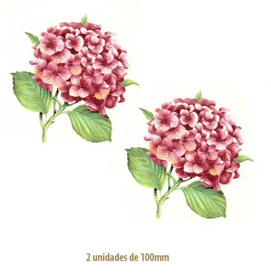Hortensia-Rosa-100mmx2un.jpg