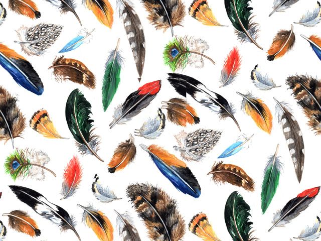 TAPETE - FEATHER.jpg