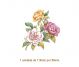 Camelia-110x90mmx1un.jpg