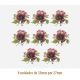 D_Poppy_33x27mmx8un_A.JPG