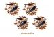 PAJARO-B-40mmx4un.jpg