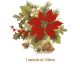 D_XmasFlower_150mmx1un.jpg