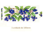Blueberries - 185mm x 1un 1