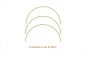 Flowers of the Year - Curva de 39cm 1