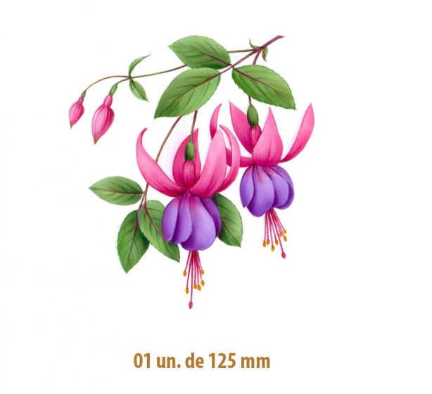 D_Fucsia-125x1un.jpg
