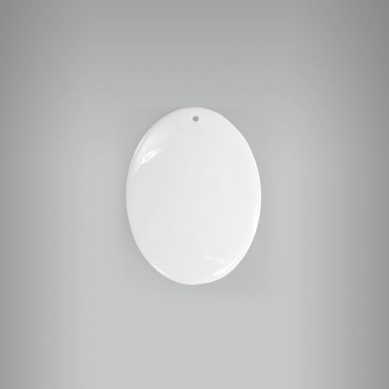 Medalha Oval 20 com Furo 5,5 X 4 1