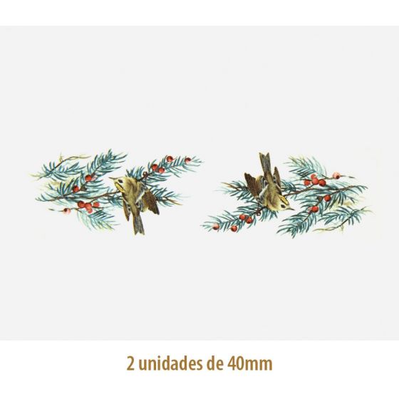 D_Goldcrest_40mmx2un_A.JPG