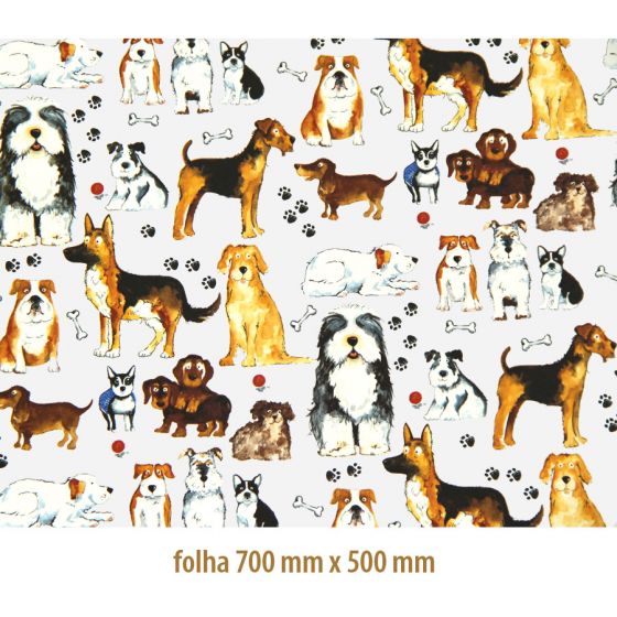 Walkies_Chintz_Clear_BG_B.jpg