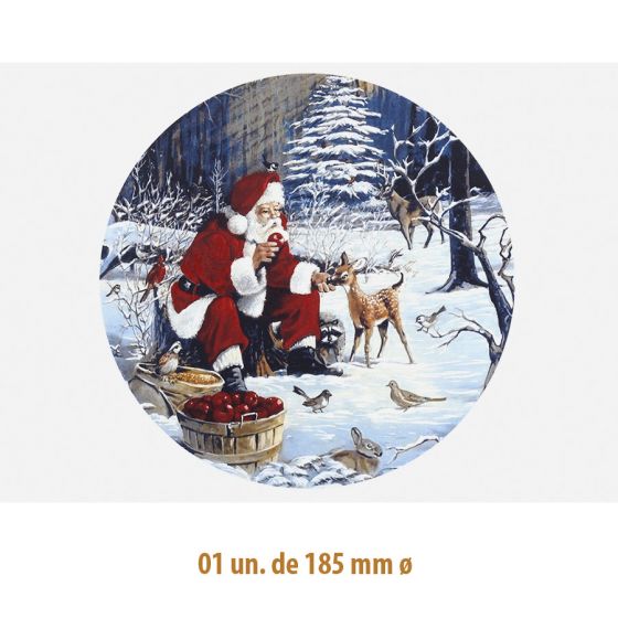 D-SANTA-CLAUS-185.jpg