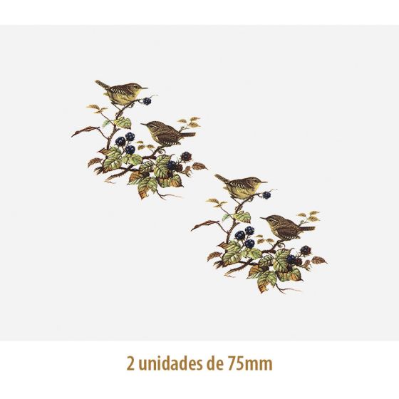 D_Wren_75mmx2un_A.JPG