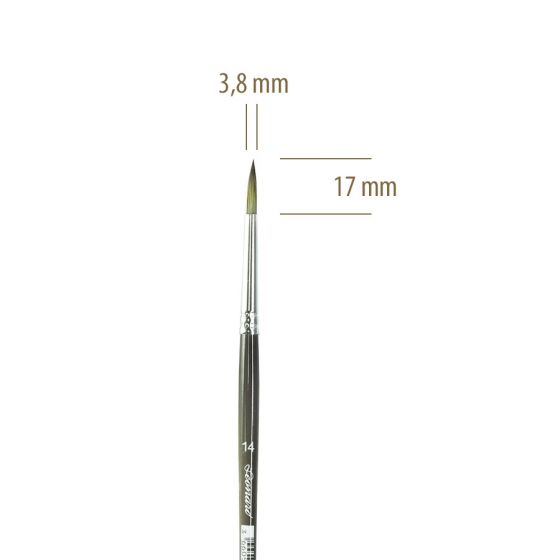 Medidas-Pincel-50RO-14.jpg