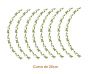 GreenBorder-curvade20cm.jpg