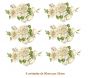Mistflower-90x56mmx6un.jpg