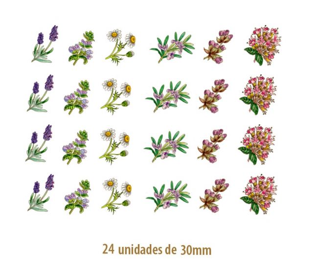 HERBS-30mmx24un.jpg
