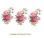 Peonies-75x47mmx3un.jpg