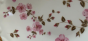 CherryBlossom.2.png